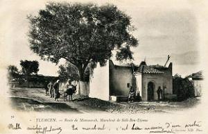 Tlemcen 215